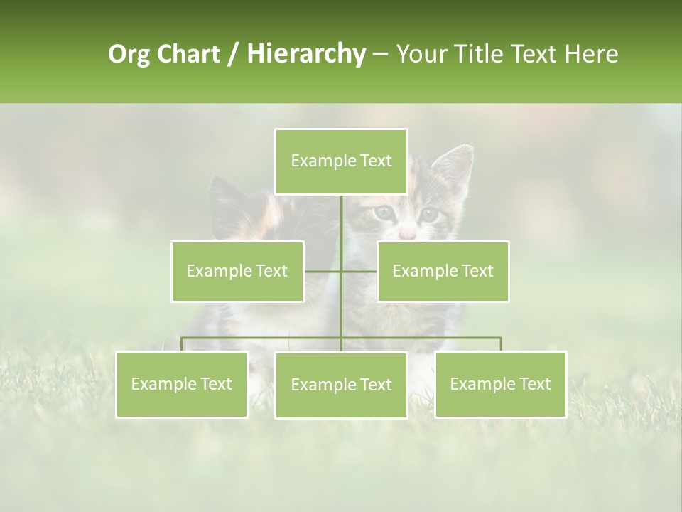 Two Small Kittens Are Sitting In The Grass PowerPoint Template