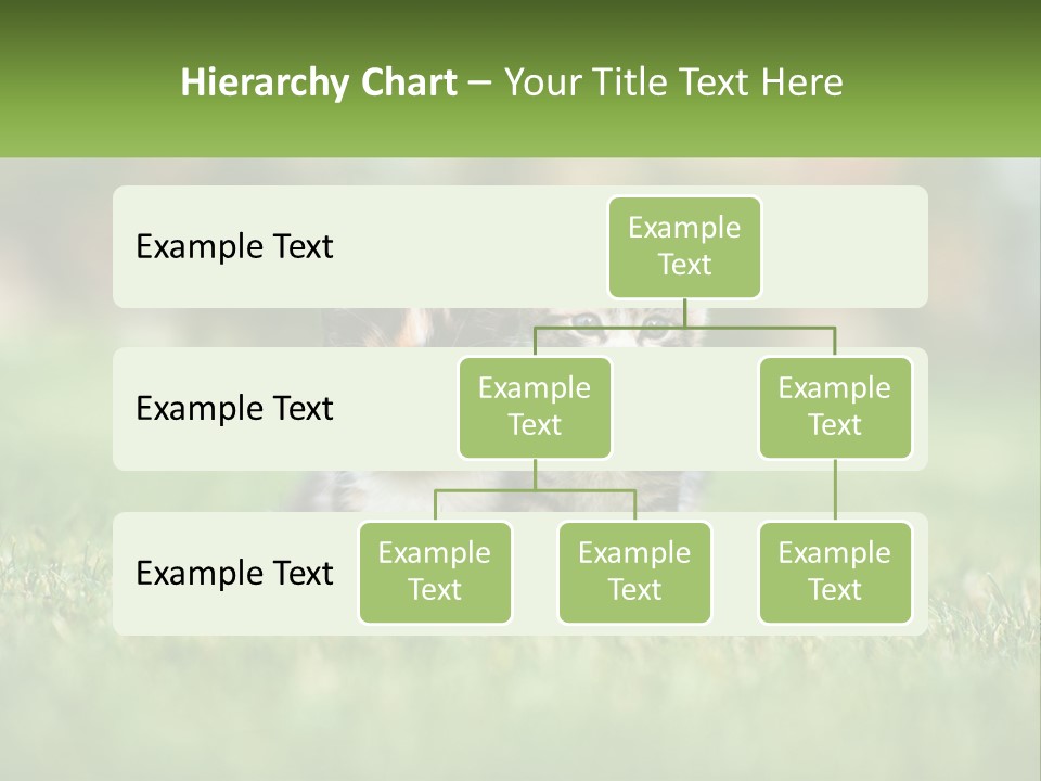 Two Small Kittens Are Sitting In The Grass PowerPoint Template