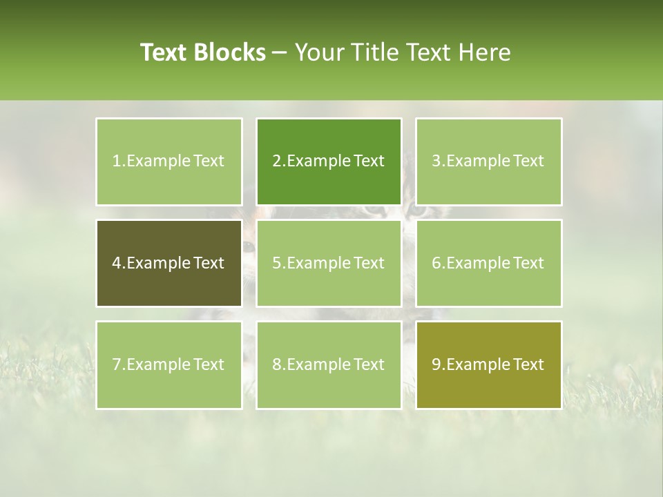 Two Small Kittens Are Sitting In The Grass PowerPoint Template