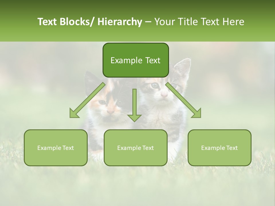 Two Small Kittens Are Sitting In The Grass PowerPoint Template