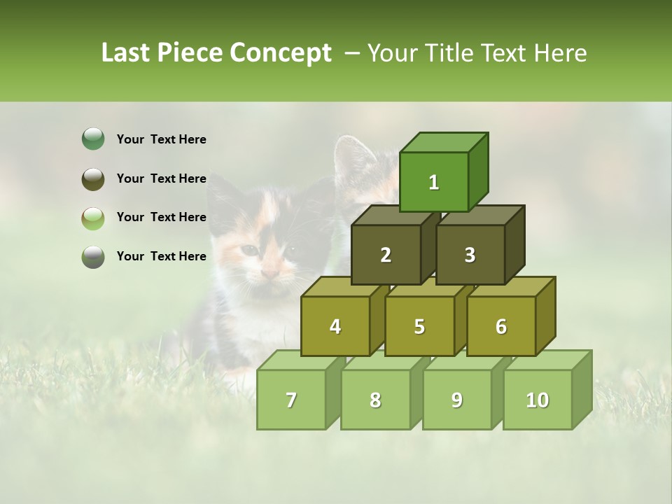 Two Small Kittens Are Sitting In The Grass PowerPoint Template