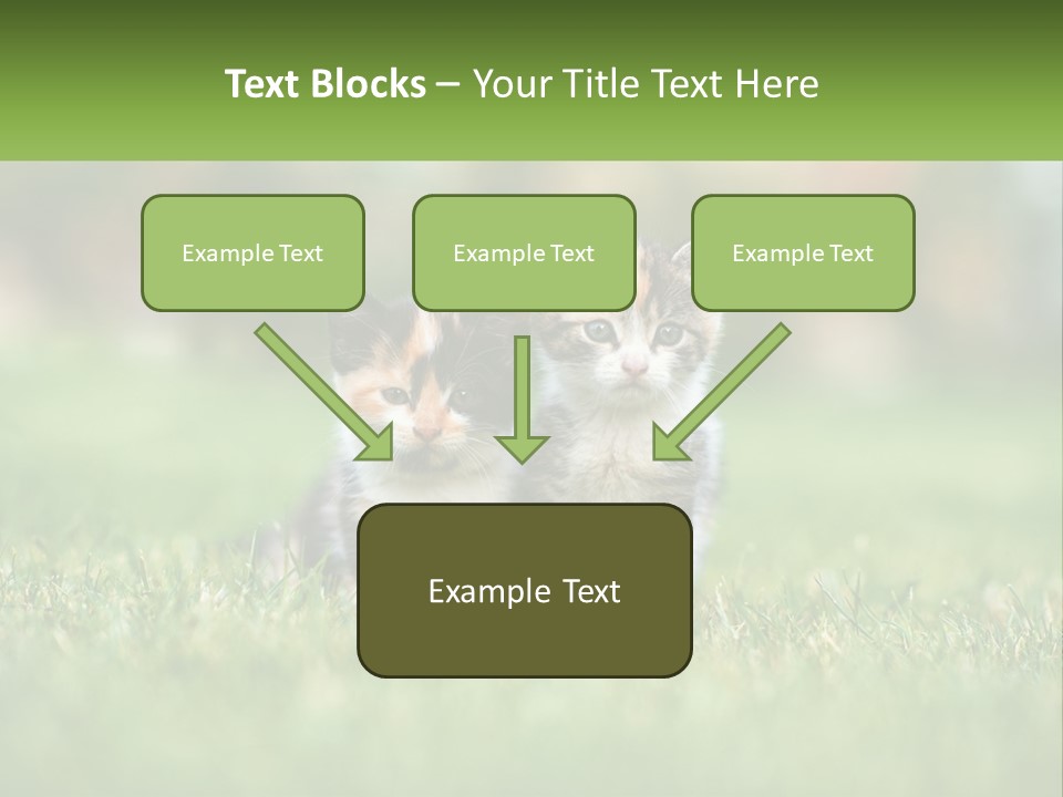 Two Small Kittens Are Sitting In The Grass PowerPoint Template