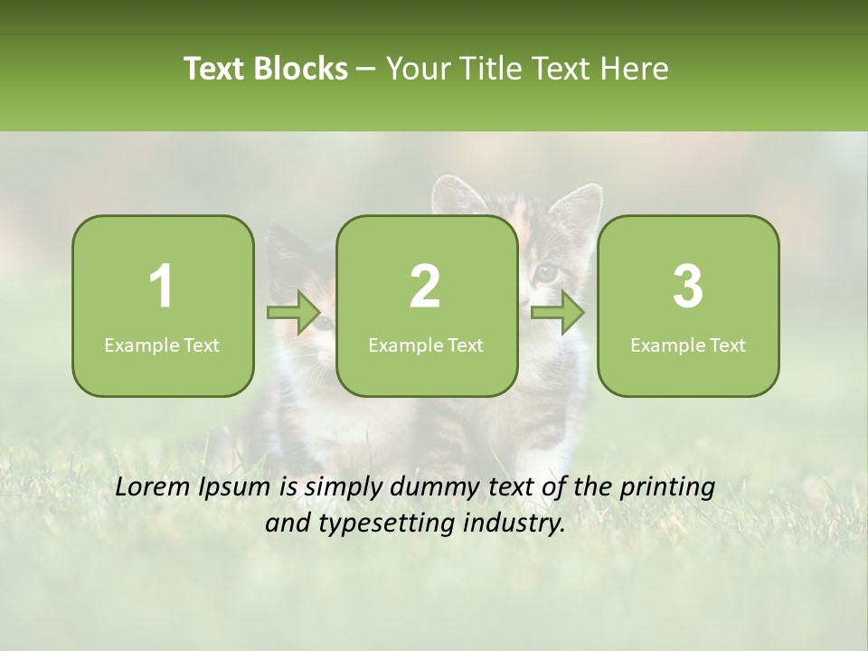 Two Small Kittens Are Sitting In The Grass PowerPoint Template