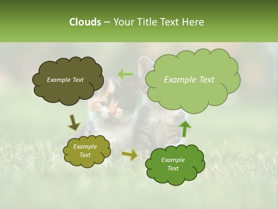 Two Small Kittens Are Sitting In The Grass PowerPoint Template