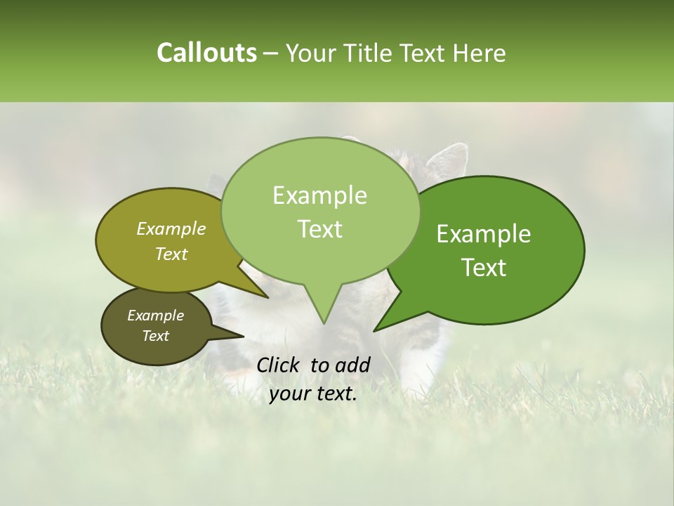 Two Small Kittens Are Sitting In The Grass PowerPoint Template