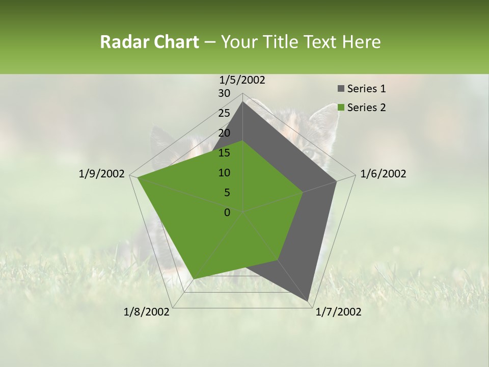 Two Small Kittens Are Sitting In The Grass PowerPoint Template