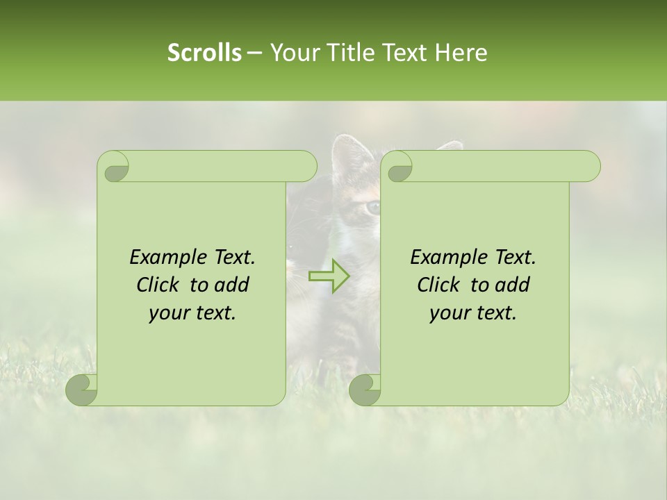 Two Small Kittens Are Sitting In The Grass PowerPoint Template
