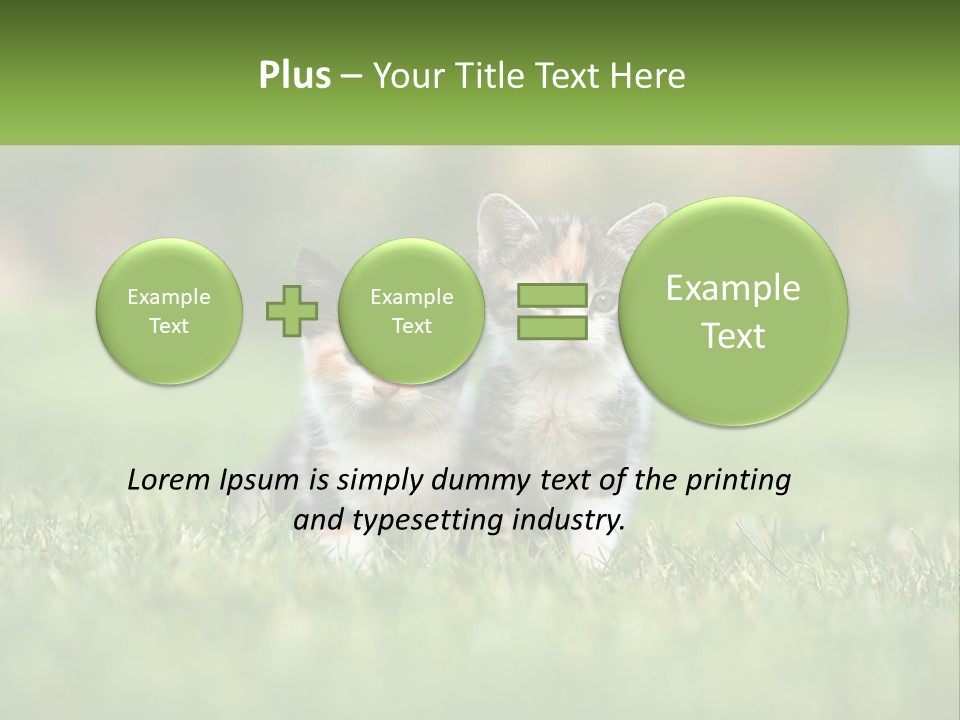 Two Small Kittens Are Sitting In The Grass PowerPoint Template