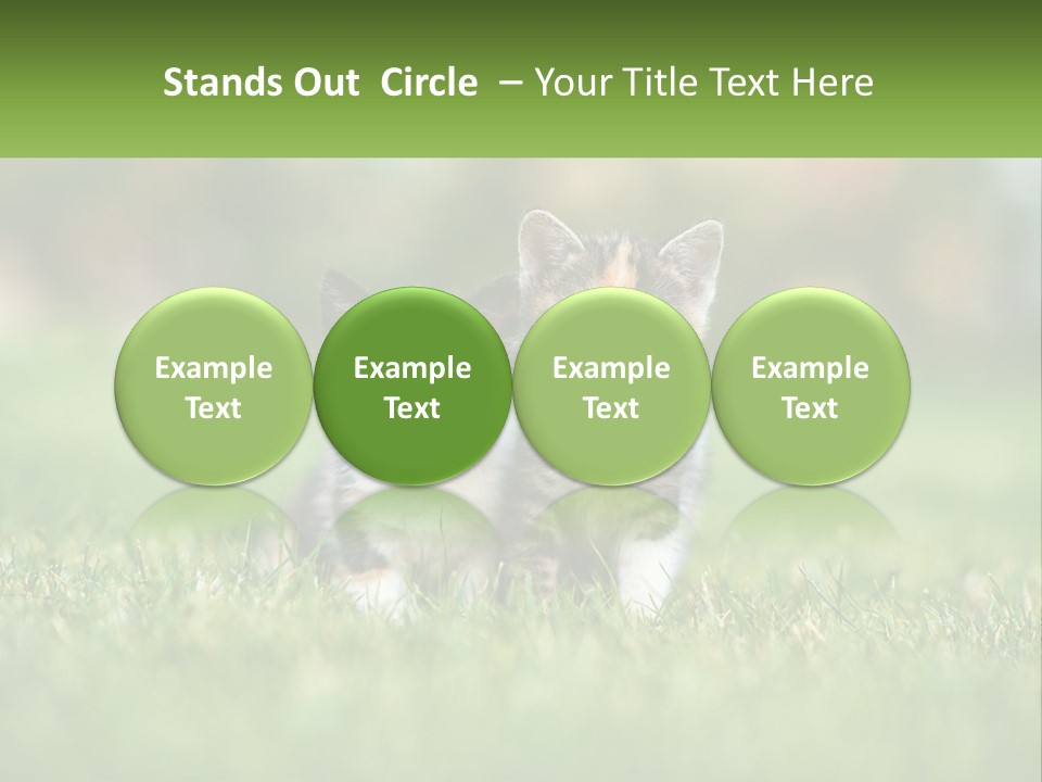 Two Small Kittens Are Sitting In The Grass PowerPoint Template