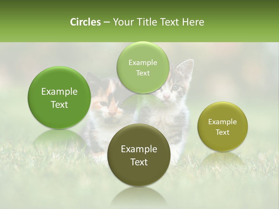 Two Small Kittens Are Sitting In The Grass PowerPoint Template