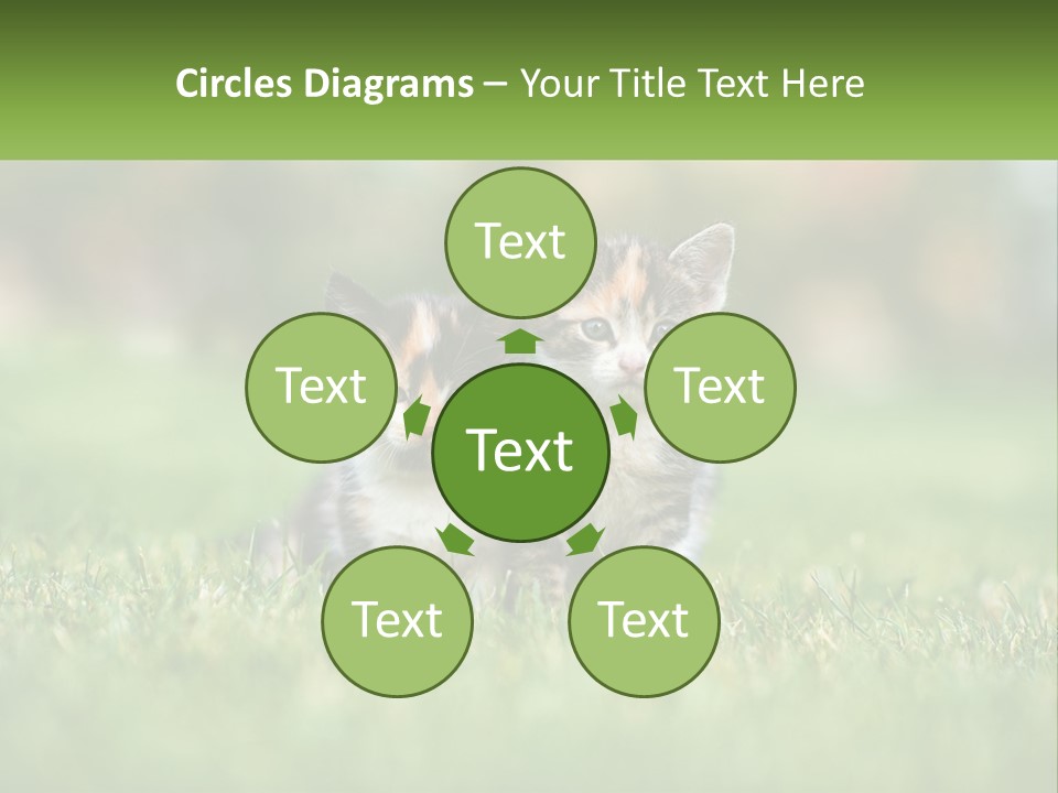 Two Small Kittens Are Sitting In The Grass PowerPoint Template