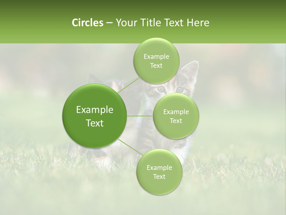 Two Small Kittens Are Sitting In The Grass PowerPoint Template
