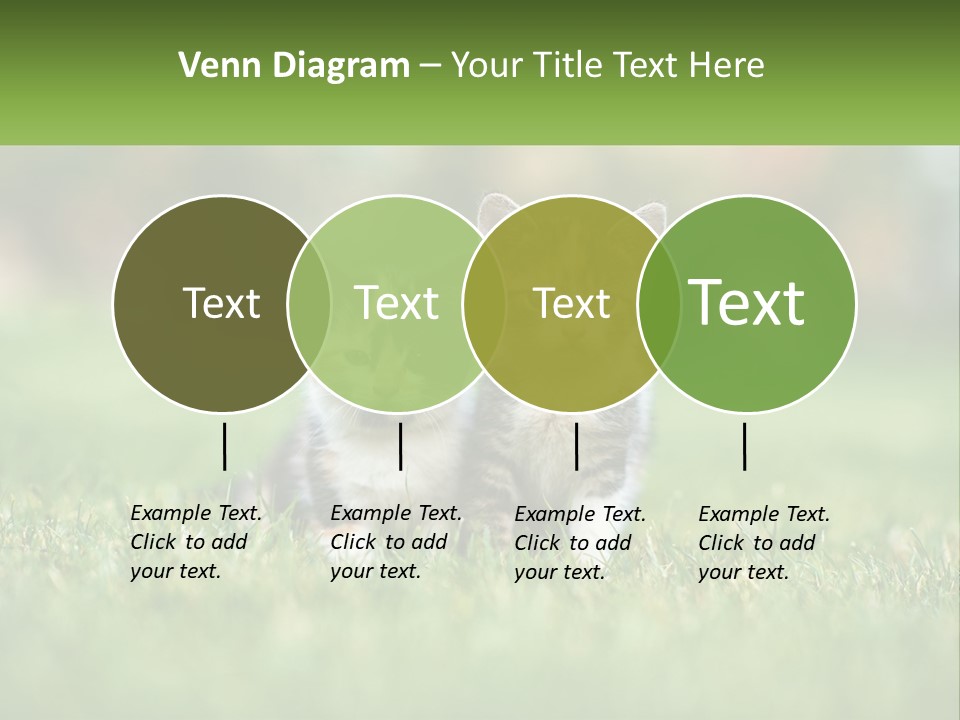 Two Small Kittens Are Sitting In The Grass PowerPoint Template