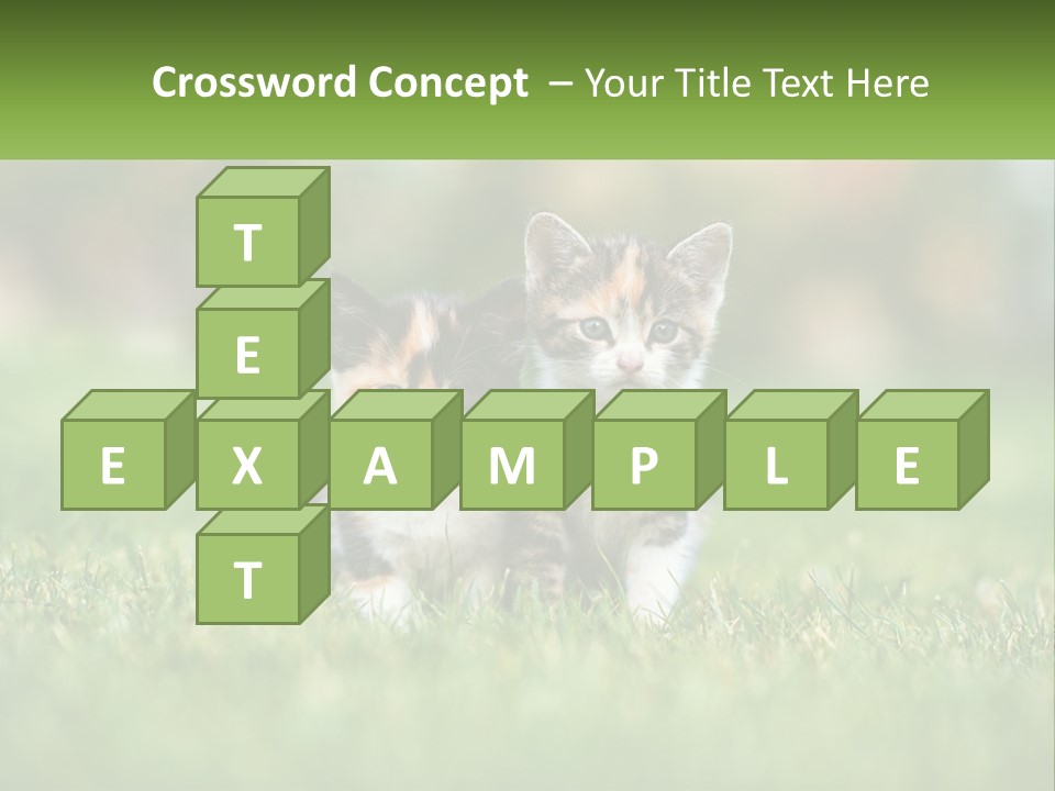 Two Small Kittens Are Sitting In The Grass PowerPoint Template