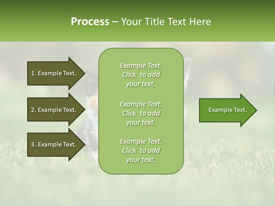 Two Small Kittens Are Sitting In The Grass PowerPoint Template
