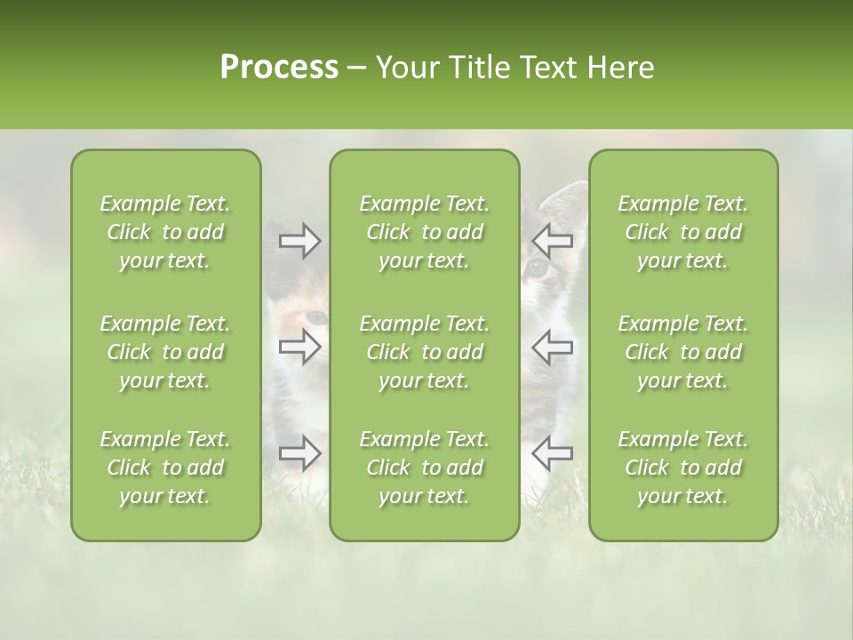 Two Small Kittens Are Sitting In The Grass PowerPoint Template