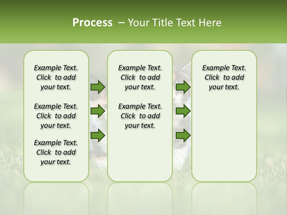 Two Small Kittens Are Sitting In The Grass PowerPoint Template