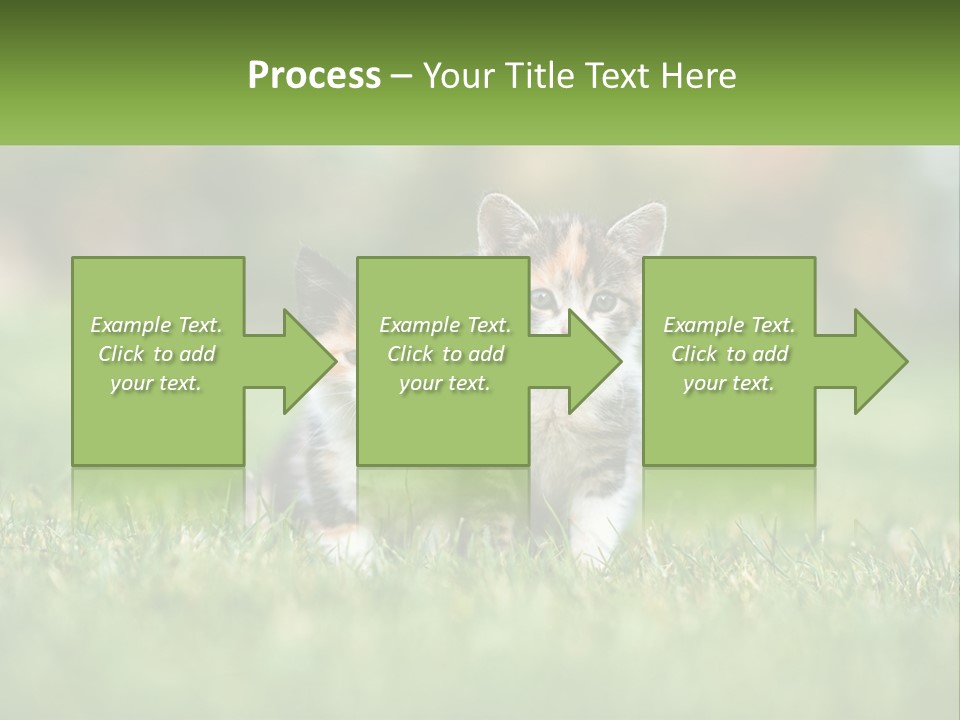 Two Small Kittens Are Sitting In The Grass PowerPoint Template