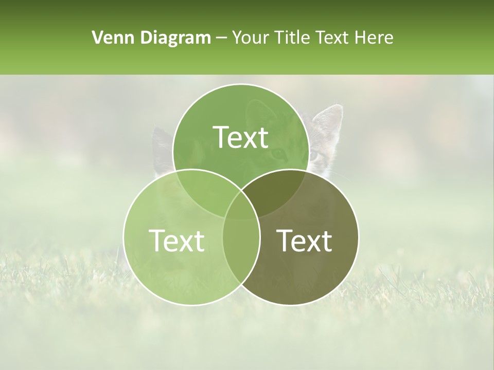 Two Small Kittens Are Sitting In The Grass PowerPoint Template