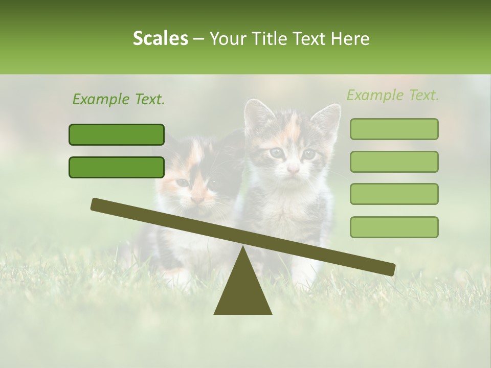 Two Small Kittens Are Sitting In The Grass PowerPoint Template