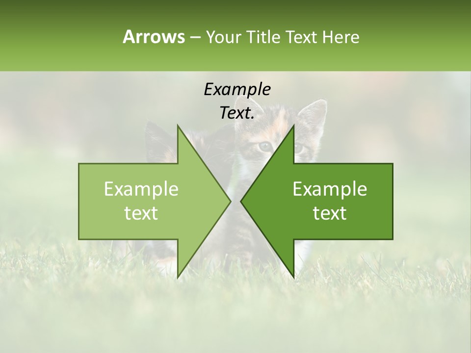 Two Small Kittens Are Sitting In The Grass PowerPoint Template