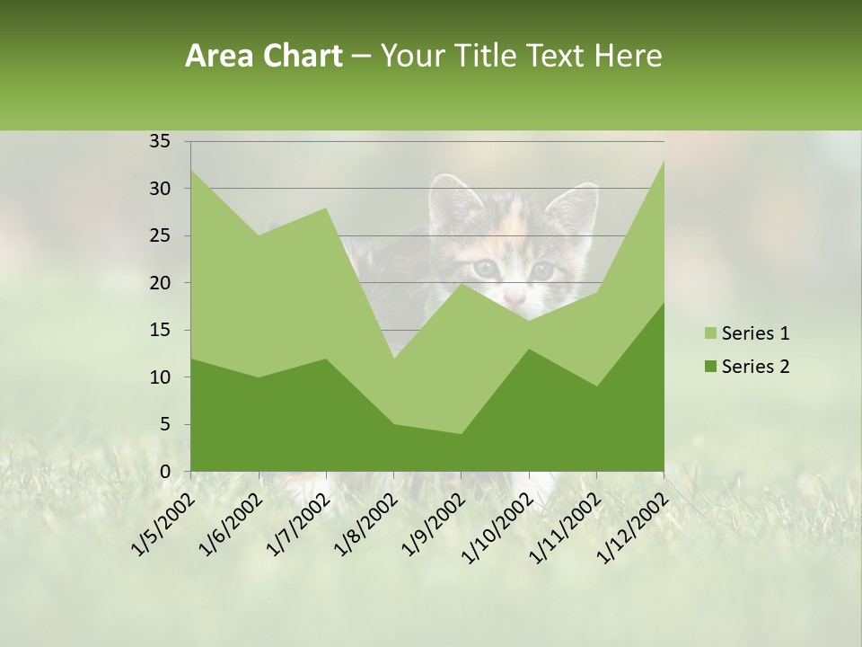 Two Small Kittens Are Sitting In The Grass PowerPoint Template