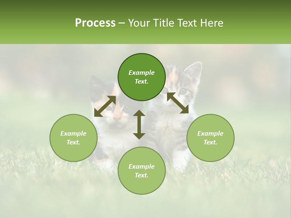 Two Small Kittens Are Sitting In The Grass PowerPoint Template