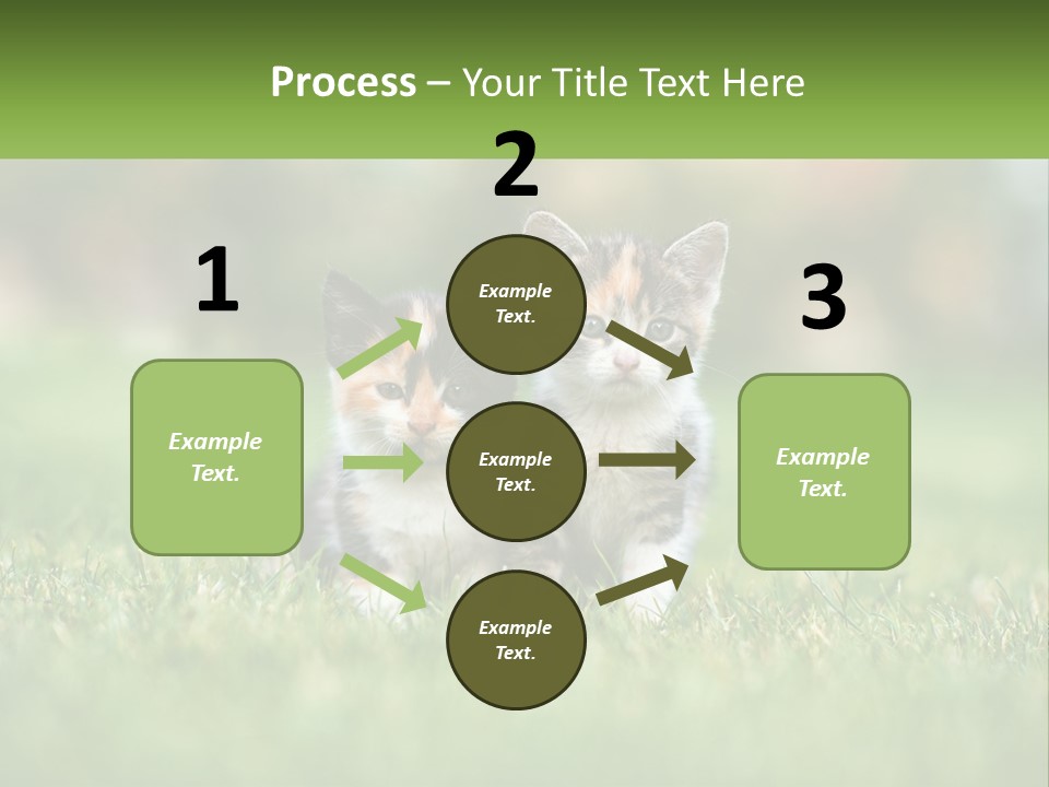 Two Small Kittens Are Sitting In The Grass PowerPoint Template