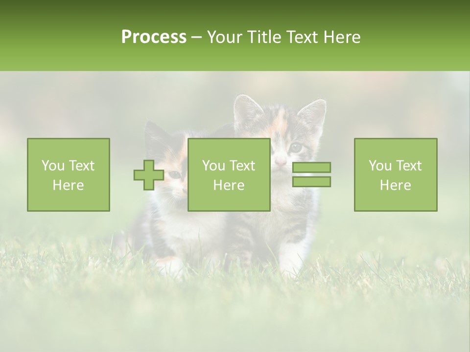 Two Small Kittens Are Sitting In The Grass PowerPoint Template