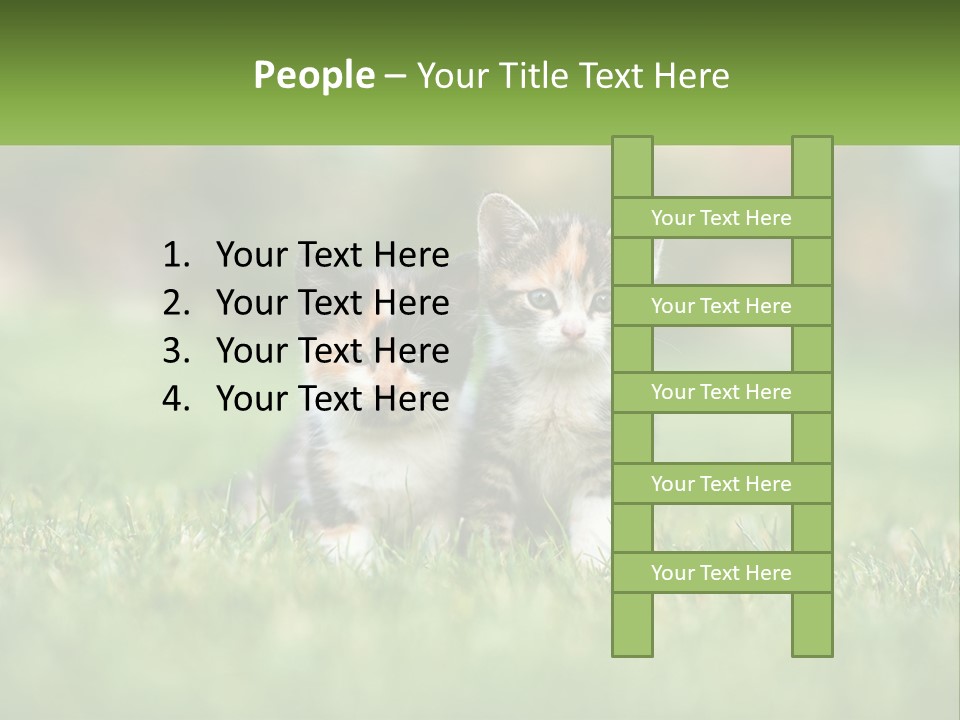 Two Small Kittens Are Sitting In The Grass PowerPoint Template