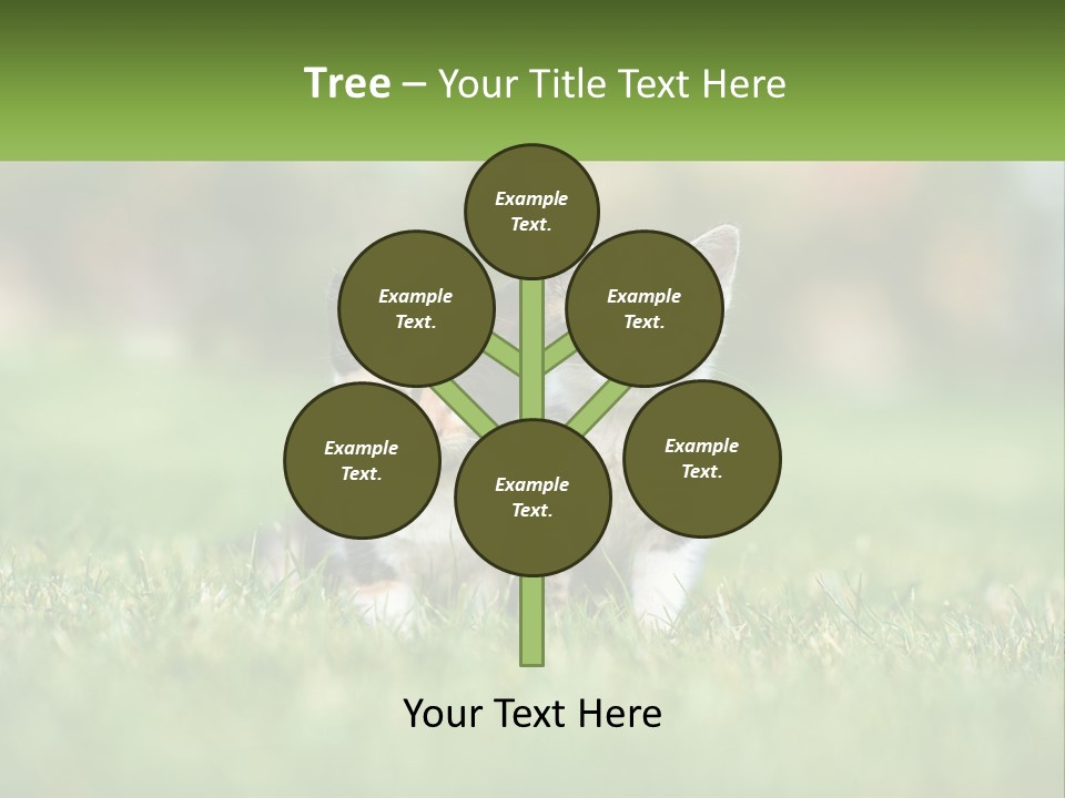 Two Small Kittens Are Sitting In The Grass PowerPoint Template