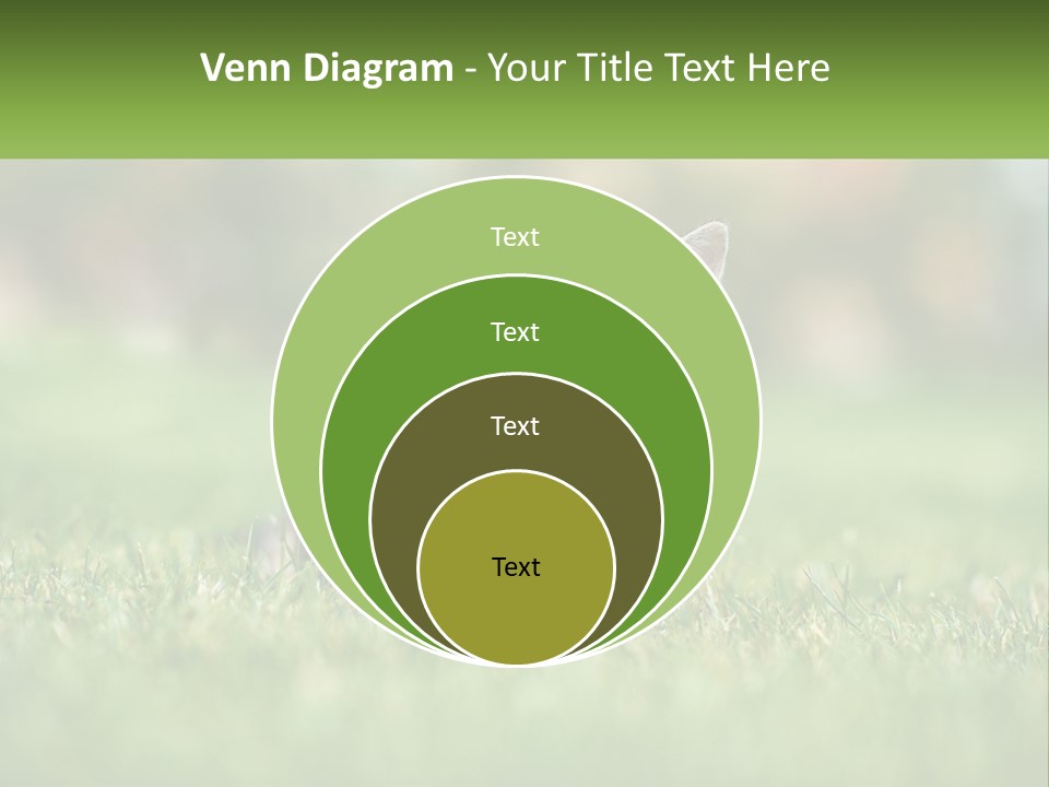 Two Small Kittens Are Sitting In The Grass PowerPoint Template