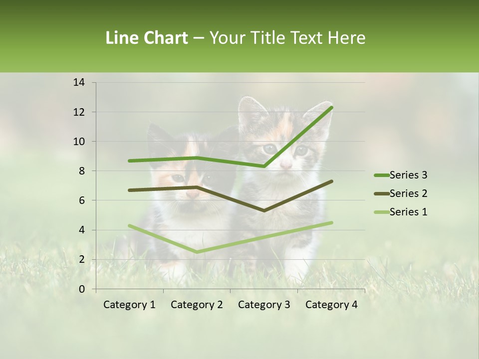 Two Small Kittens Are Sitting In The Grass PowerPoint Template