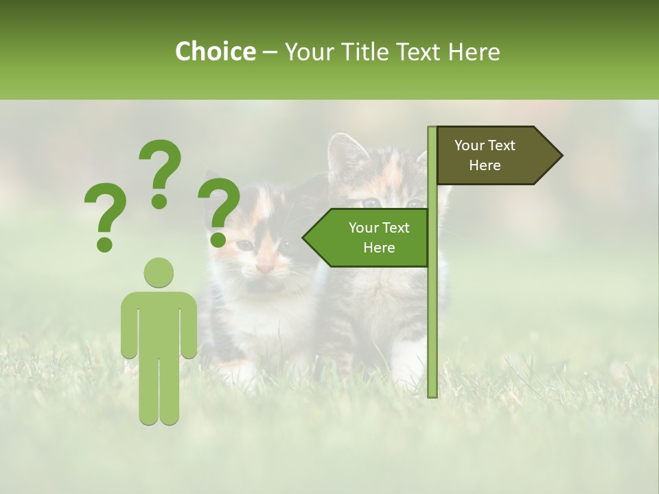 Two Small Kittens Are Sitting In The Grass PowerPoint Template