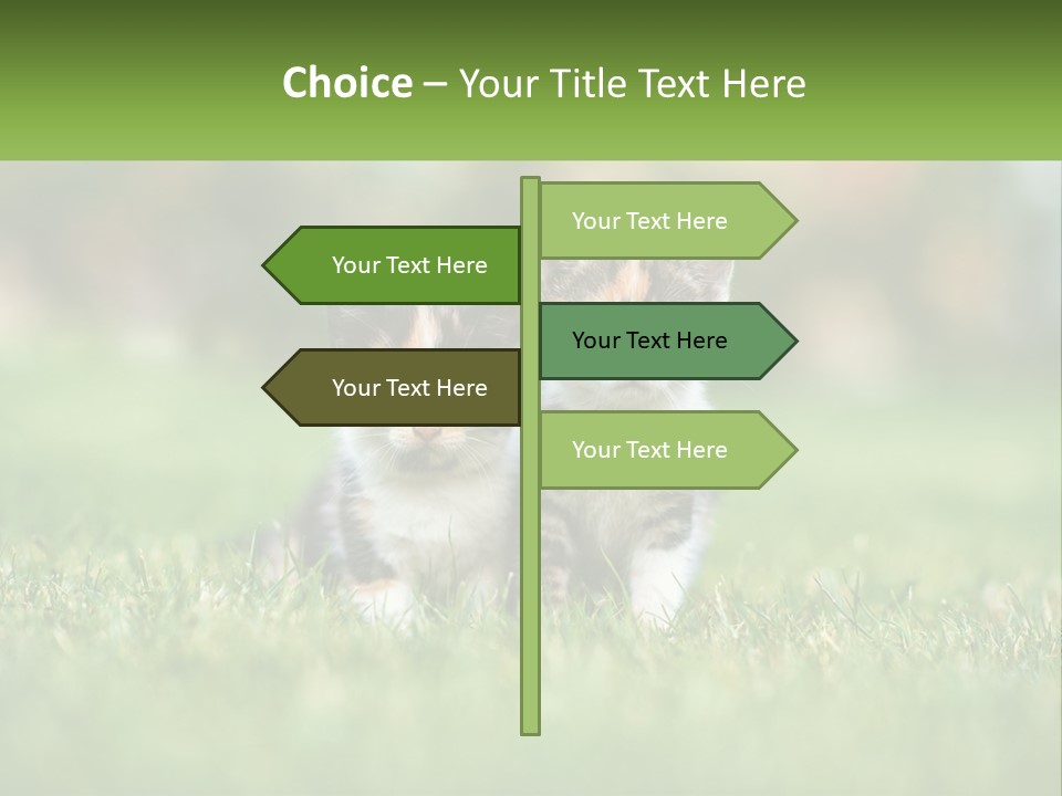 Two Small Kittens Are Sitting In The Grass PowerPoint Template