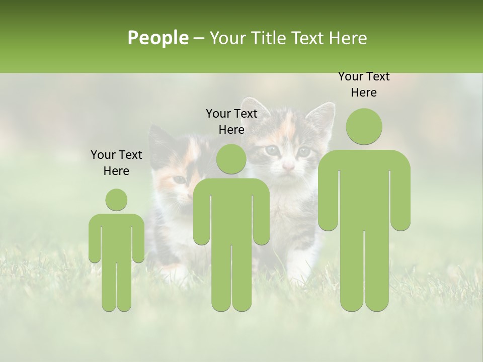 Two Small Kittens Are Sitting In The Grass PowerPoint Template