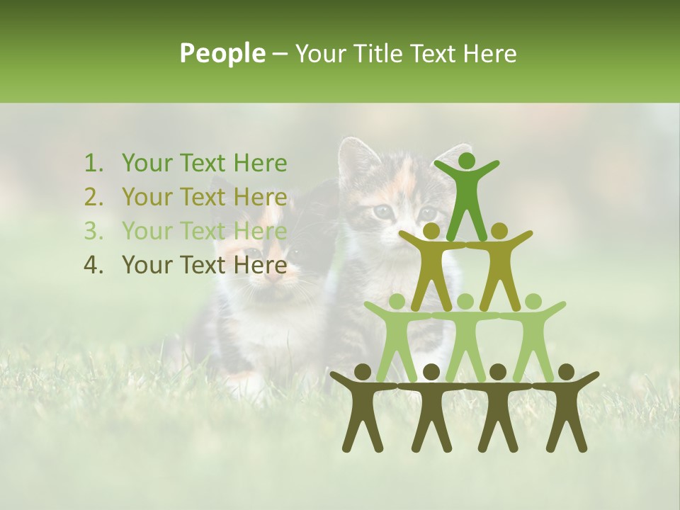 Two Small Kittens Are Sitting In The Grass PowerPoint Template