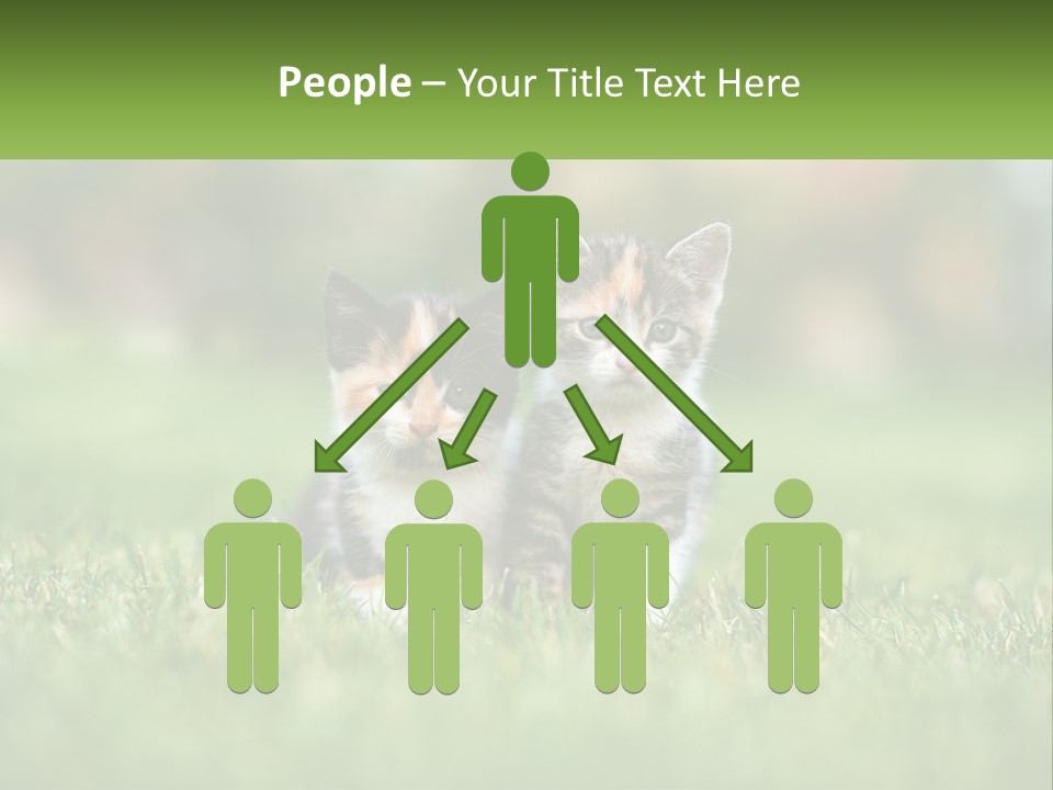Two Small Kittens Are Sitting In The Grass PowerPoint Template