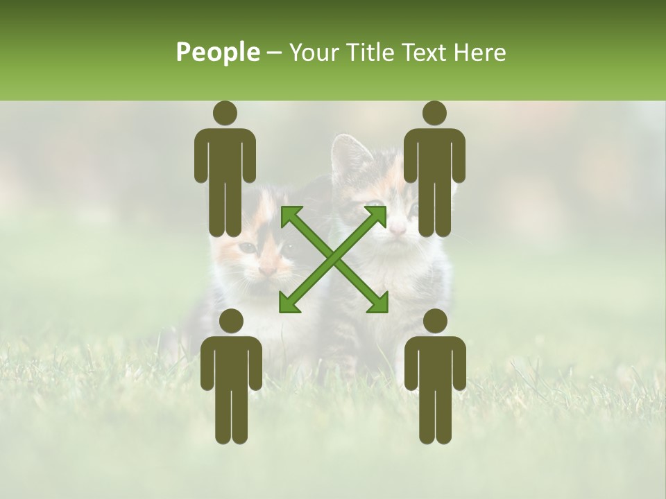 Two Small Kittens Are Sitting In The Grass PowerPoint Template