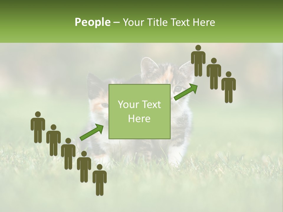 Two Small Kittens Are Sitting In The Grass PowerPoint Template