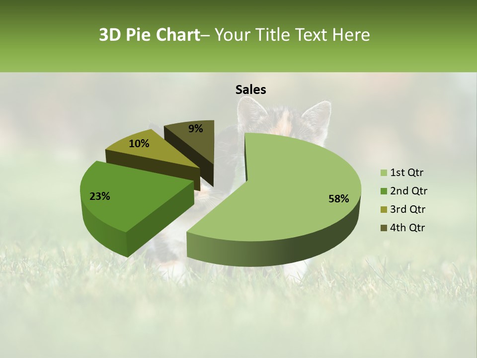Two Small Kittens Are Sitting In The Grass PowerPoint Template