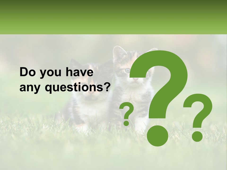 Two Small Kittens Are Sitting In The Grass PowerPoint Template