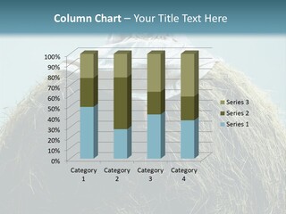 A Woman Sitting On Top Of A Pile Of Hay PowerPoint Template