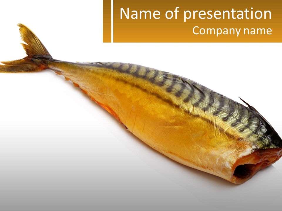 A Fish Is Shown On A White Background PowerPoint Template