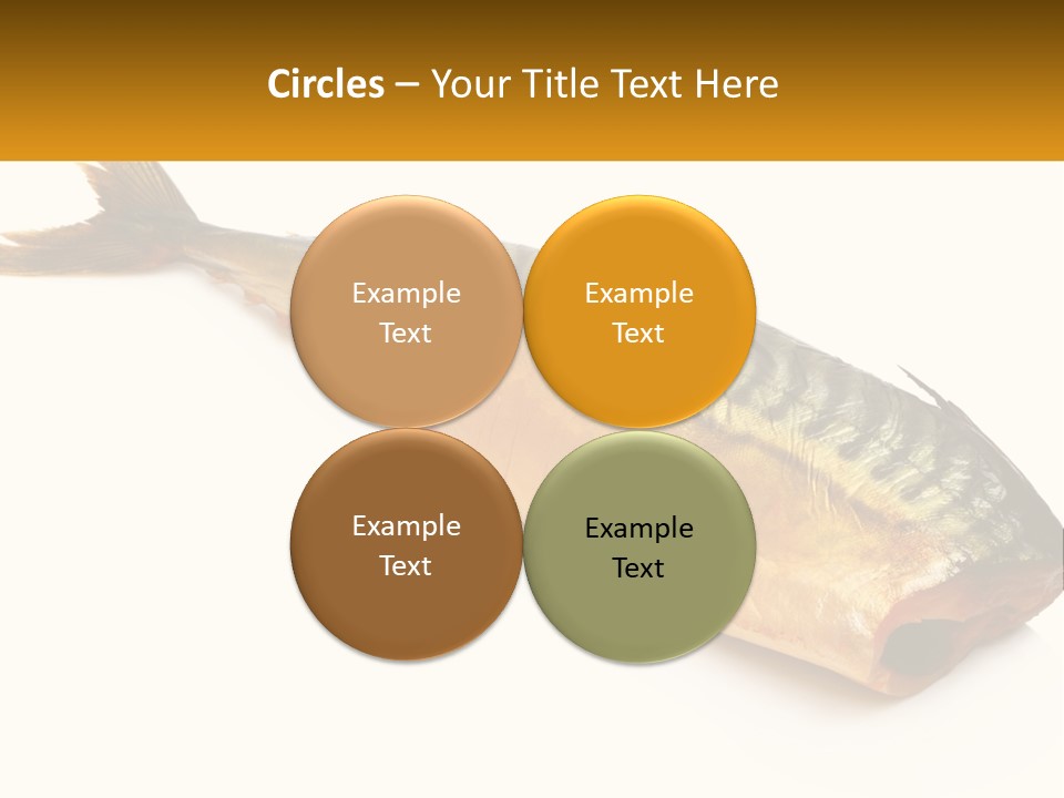 A Fish Is Shown On A White Background PowerPoint Template