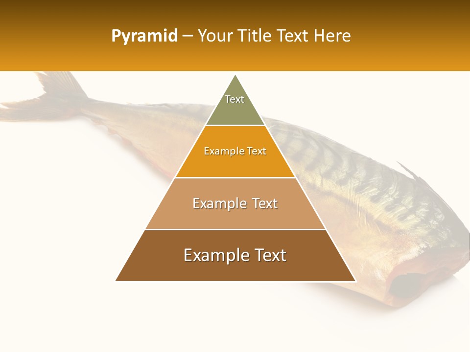 A Fish Is Shown On A White Background PowerPoint Template