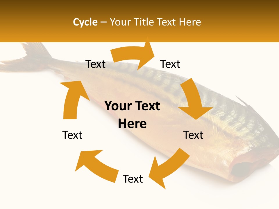 A Fish Is Shown On A White Background PowerPoint Template