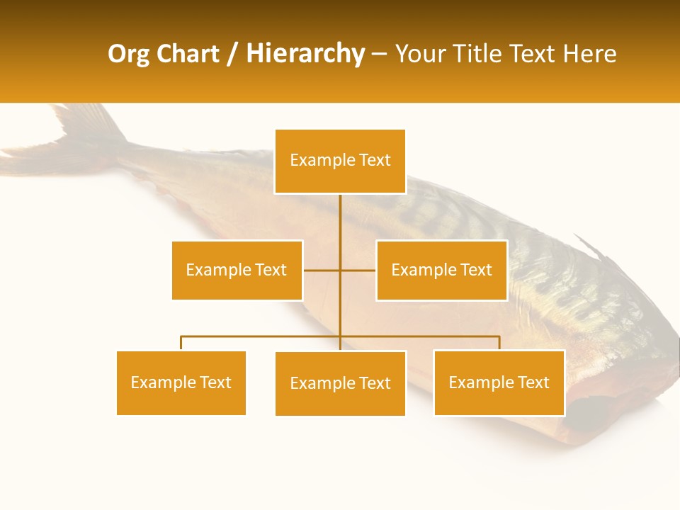 A Fish Is Shown On A White Background PowerPoint Template