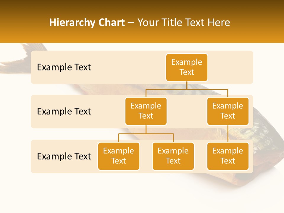 A Fish Is Shown On A White Background PowerPoint Template