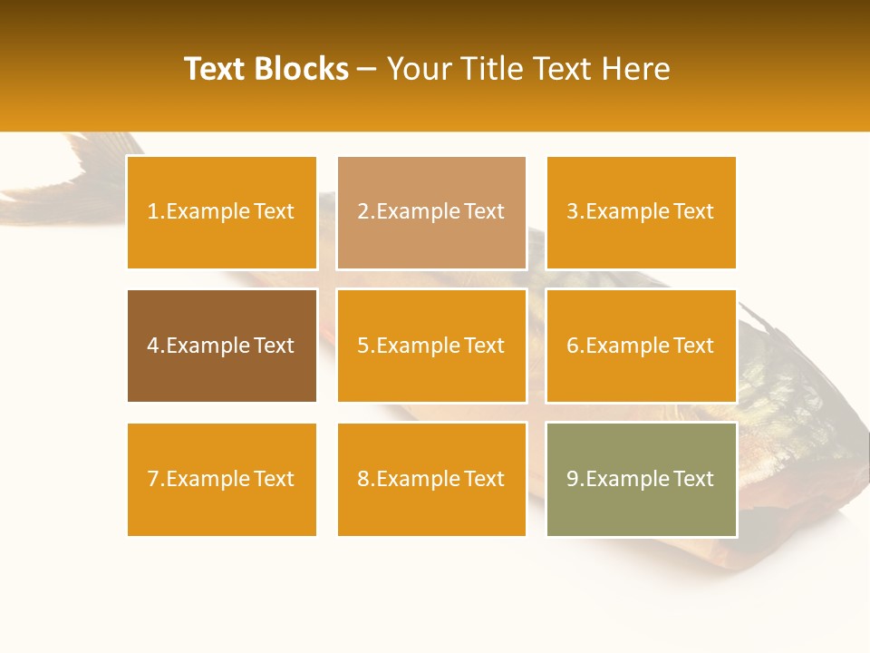 A Fish Is Shown On A White Background PowerPoint Template